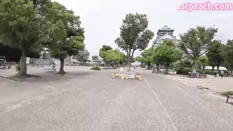 台男到日本出差，邂逅了一个日本女人。在语言完全不通的情况下，竟发展出了奇妙的情愫