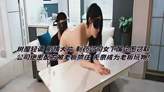 树屋轻调 剧情大片 制药公司女下属企图窃取公司绝密配方被老板抓住 无奈成为老板玩物！