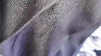老爸还在门口等电梯，老妈就跪在门口给我吃鸡吧，对着老爸跪在儿子前面被儿子内射