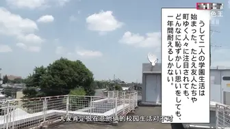 AV解说生殖器结合综合症