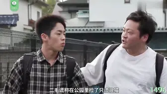 π1496 人在江湖漂，哪能不撸猫